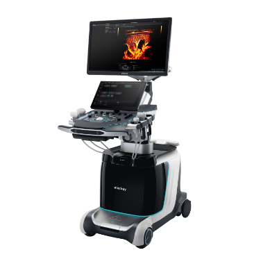 Ultrasound